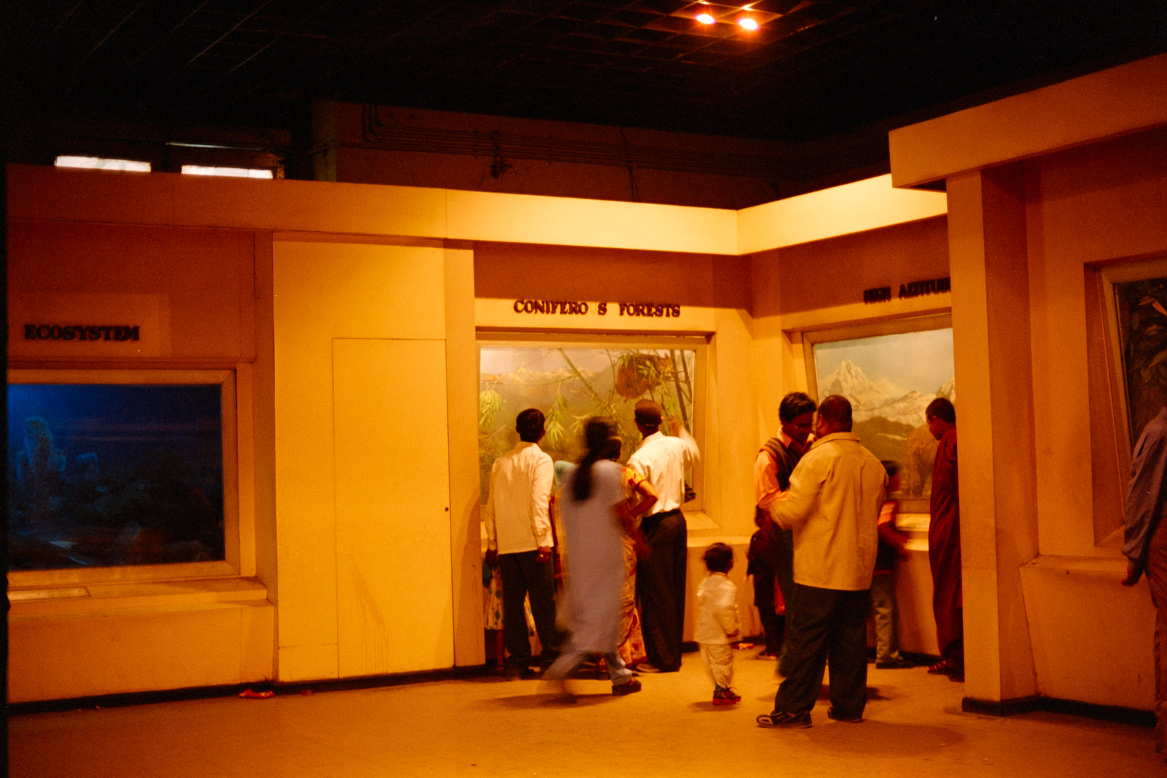 AHP film 2005 01 001 sc240825 img30 NLP